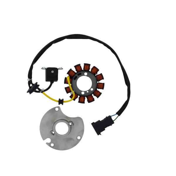 MAGNETE STATORE ALTERNATORE PER APRILIA 50 2T RS4-50 RX SX EURO 4 SGR RS4
