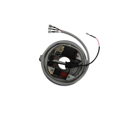 MAGNETE STATORE ALTERNATORE PER PIAGGIO APE CAR-APE TMP602/73 TM 1978/2016 SGR