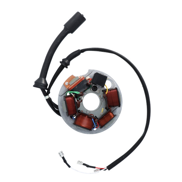 MAGNETE STATORE ALTERNATORE PIAGGIO APE 50 FL/FL2/FL3 EUROPA VESPA PK 125 S