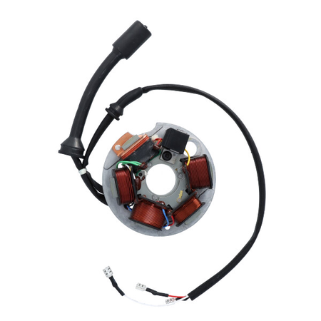 MAGNETE STATORE ALTERNATORE PIAGGIO APE 50 FL/FL2/FL3 EUROPA VESPA PK 125 S