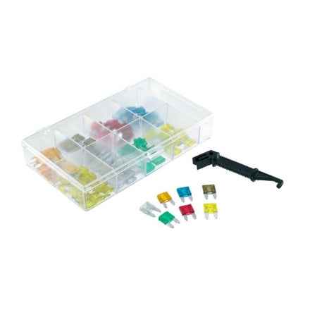 [246151040] KIT 100 FUSIBILI LAMELLARI MINI RMS