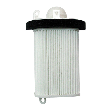 Filtro Aria (Variatore) YAMAHA T-MAX 500cc 01-07