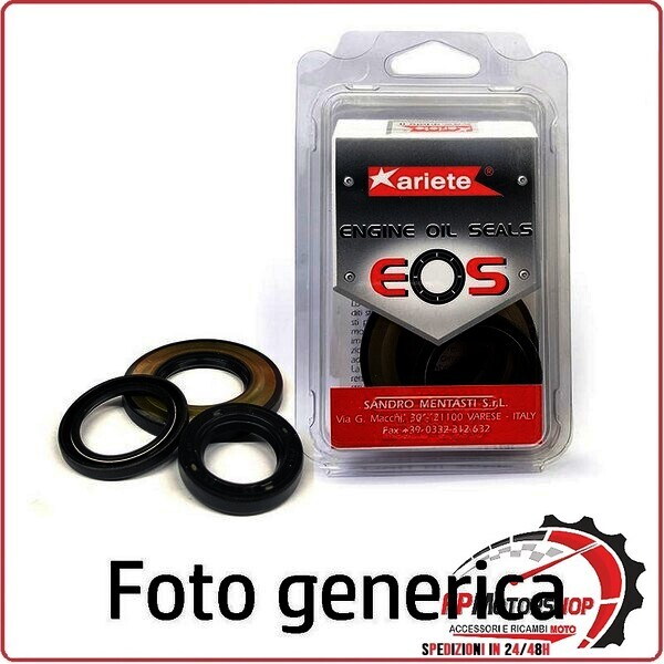KIT PARAOLI GANASCE RUOTA ANT. BREMBO 08894 MP DIAM.20