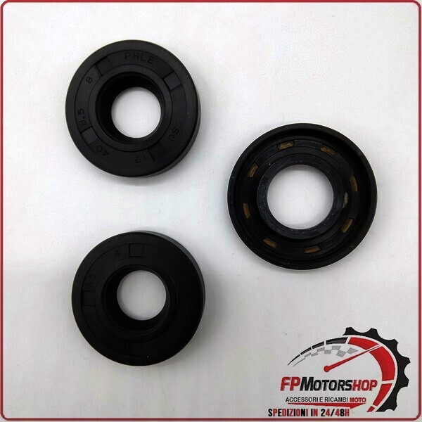 KIT PARAOLI MOTORE M EUREKA- BREMBO 08895 KATIA