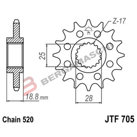PIGNONE JT 705 Z16 JTF705.16