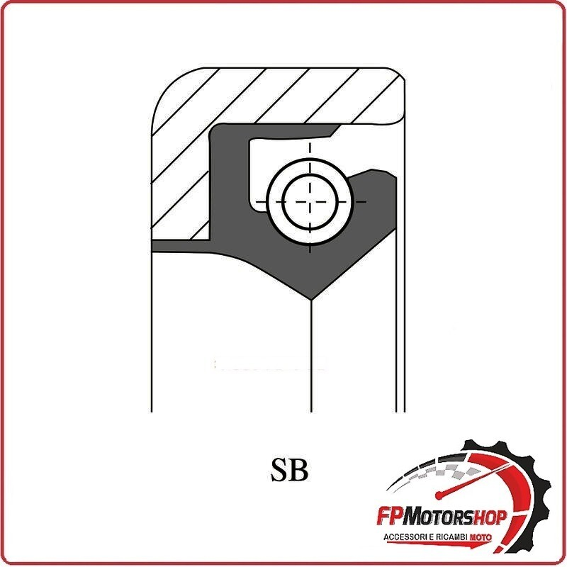 PARAOLIO SB 20X12X5 P/310