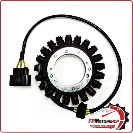 [V833200354] STATORE MAGNETE PER BMW R1200GS LC/GS ADV LC/R/RS ELECTROSPORT ESG018 21 BOBINE