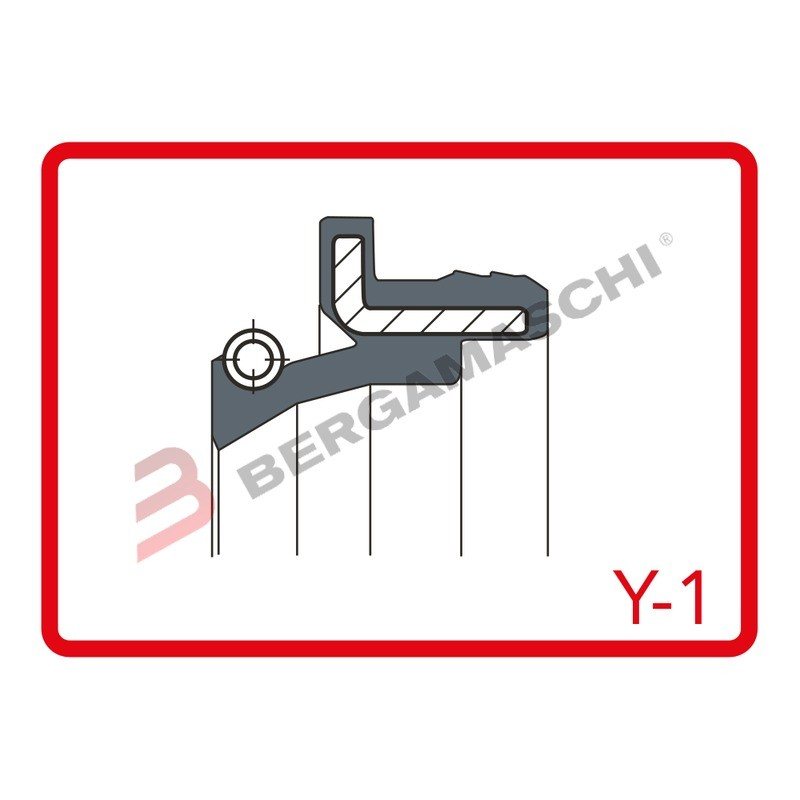 KIT GUARNIZIONI PARAPOLVERE FORCELLE ARIETE ARI.163 PER MOTO HONDA CRF 250 450