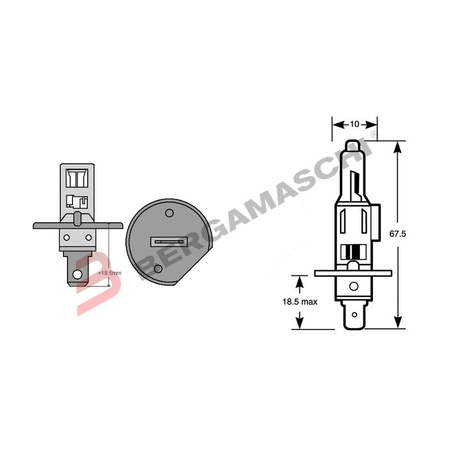 LAMPADA LAMPADINA OSRAM 12V H1 55W P14,5S PER AUTO MOTO SCOOTER