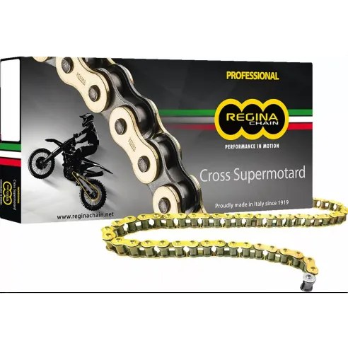 [RE520RH2112] CATENA REGINA TRASMISSIONE PER MOTO 520 RH2 112 MAGLIE 135RH2/1008 NON SIGILLATA