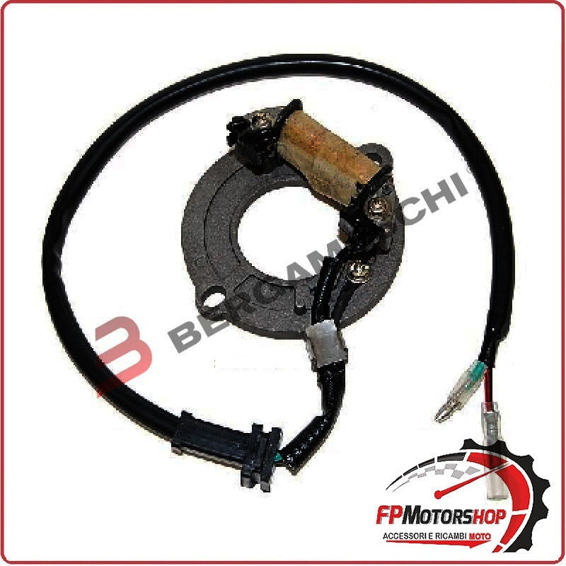 STATORE MAGNETE PER HONDA CR 80R 85-02 85R 03-04 ELECTROSPORT ESC1631 1 BOBINA