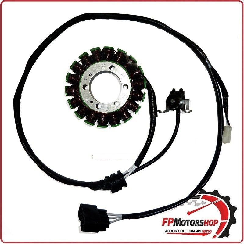 STATORE MAGNETE PER YAMAHA MT 09 ELECTROSPORT ESG509 18 BOBINE
