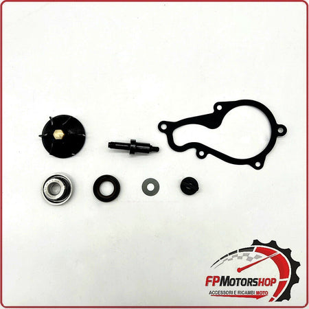KIT REVISIONE POMPA ACQUA PER SCOOTER PIAGGIO BEVERLY 350 11>20 OKYAMI