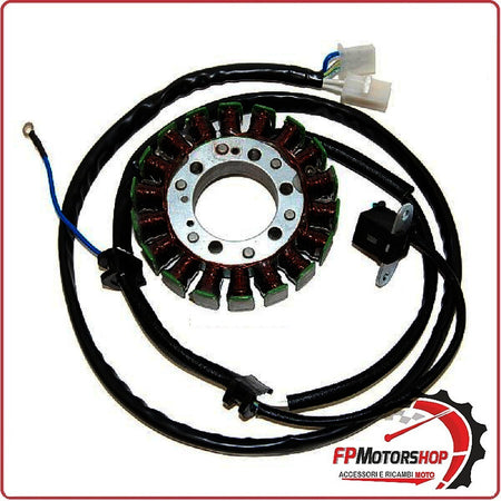STATORE MAGNETE PER YAMAHA VIRAGO 250 89 99 125 97-00 ELECTROSPORT ESG733 18