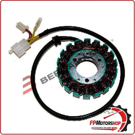 STATORE MAGNETE PER KTM LC4 640 DUKE 620/ SUPERMOTO ELECTROSPORT ESG148 18