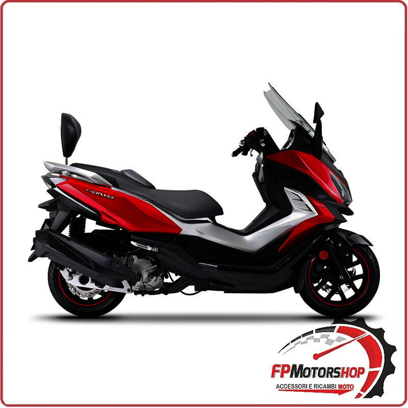 ATTACCO SCHIENALINO PER SCOOTER SYM CRUISYM 125/300 18-22 SHAD S0CR38RV  