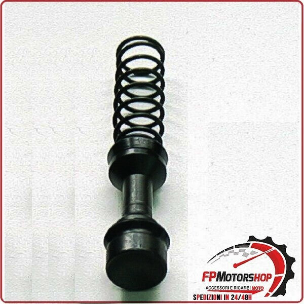 KIT REVISIONE POMPA FRENO POSTERIORE PER KAWASAKI GPZ 750 80>83 1000 81>83