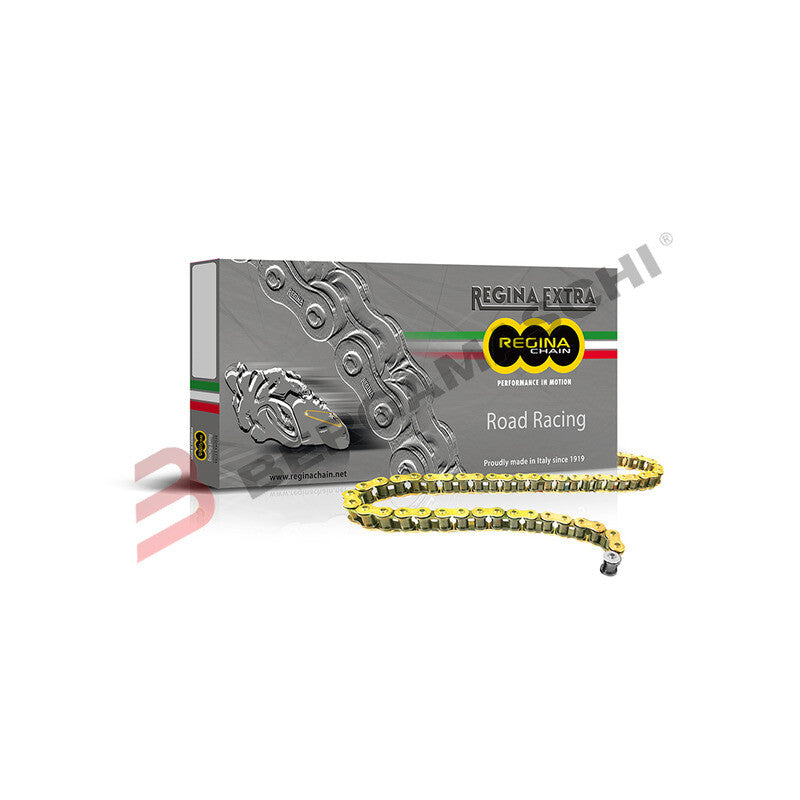 CATENA REGINA TRASMISSIONE PER MOTO 415 GP4 144 MAGLIE 90GP4/1010 NON SIGILLATA