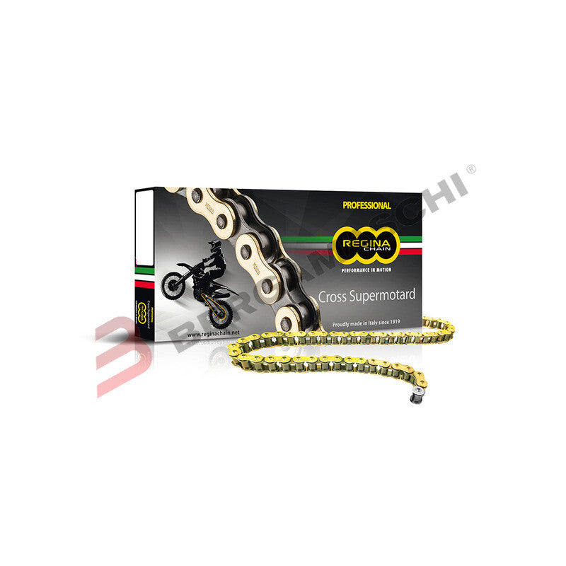 CATENA REGINA TRASMISSIONE PER MOTO 420 RH2 110 MAGLIE 124RH2/008 NON SIGILLATA