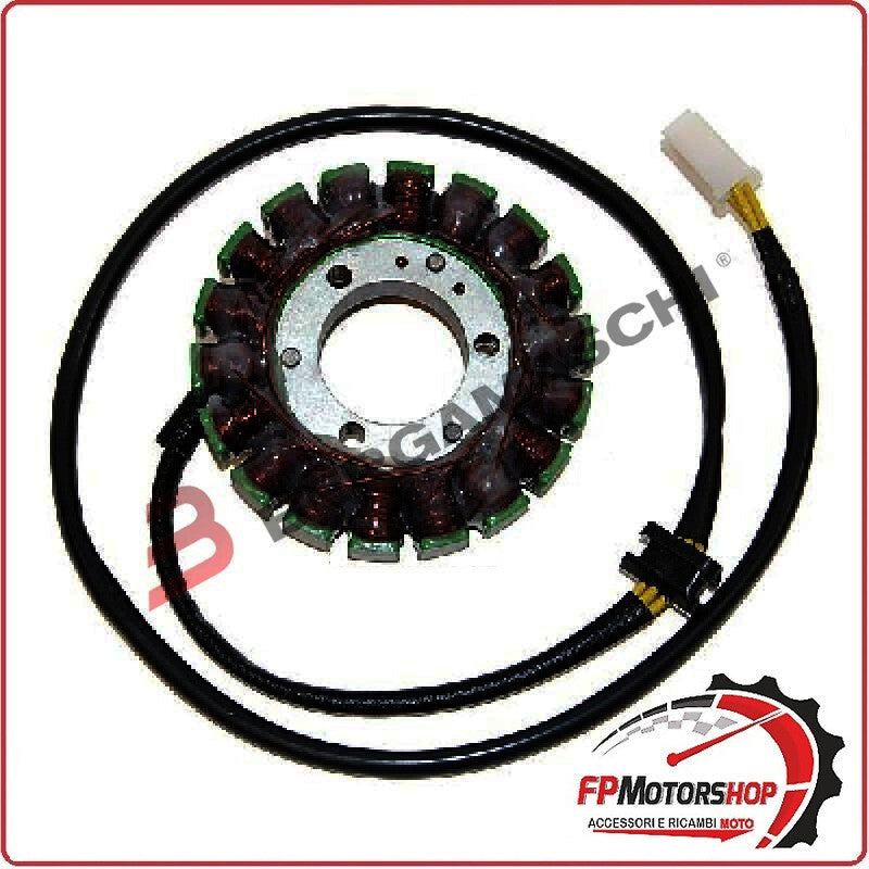 STATORE MAGNETE PER KAWASAKI EL 250 ELIMIN ATOR 88-03 ZZR 96-03 ELECTROSPORT