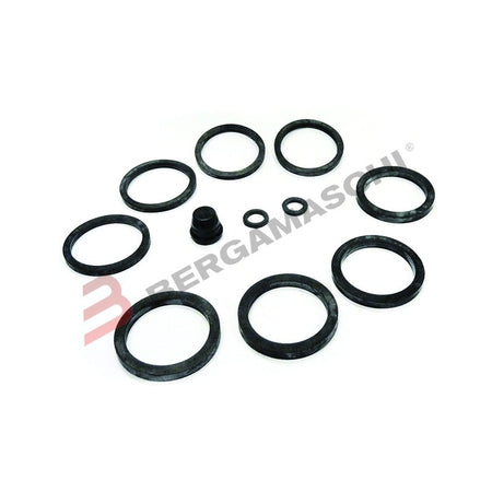 KIT REVISIONE PINZA FRENO GRIMECA PER ANTERIORE BETA MOTARD M4 350 03>08