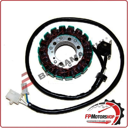STATORE MAGNETE PER YAMAHA FZS 600 FAZER 98-01 ELECTROSPORT ESG791 18 BOBINE