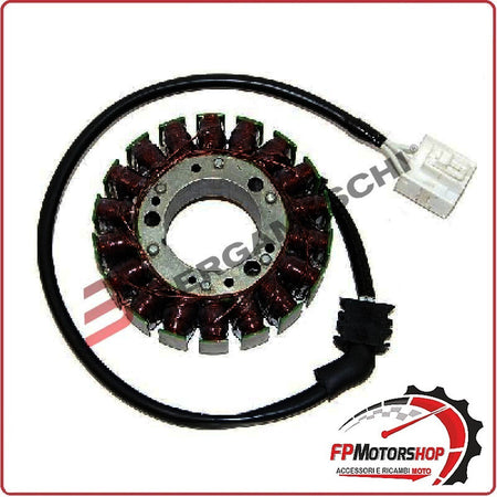 STATORE MAGNETE PER YAMAHA FZS FAZER 01-05 ELECTROSPORT ESG787 18 BOBINE
