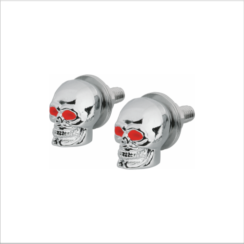 Coppia viti targa teschio