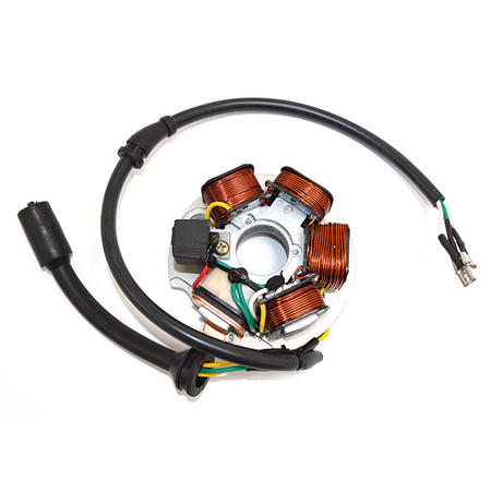 MAGNETE STATORE ALTERNATORE PER PIAGGIO APE 50 CROSS 256309 SGR
