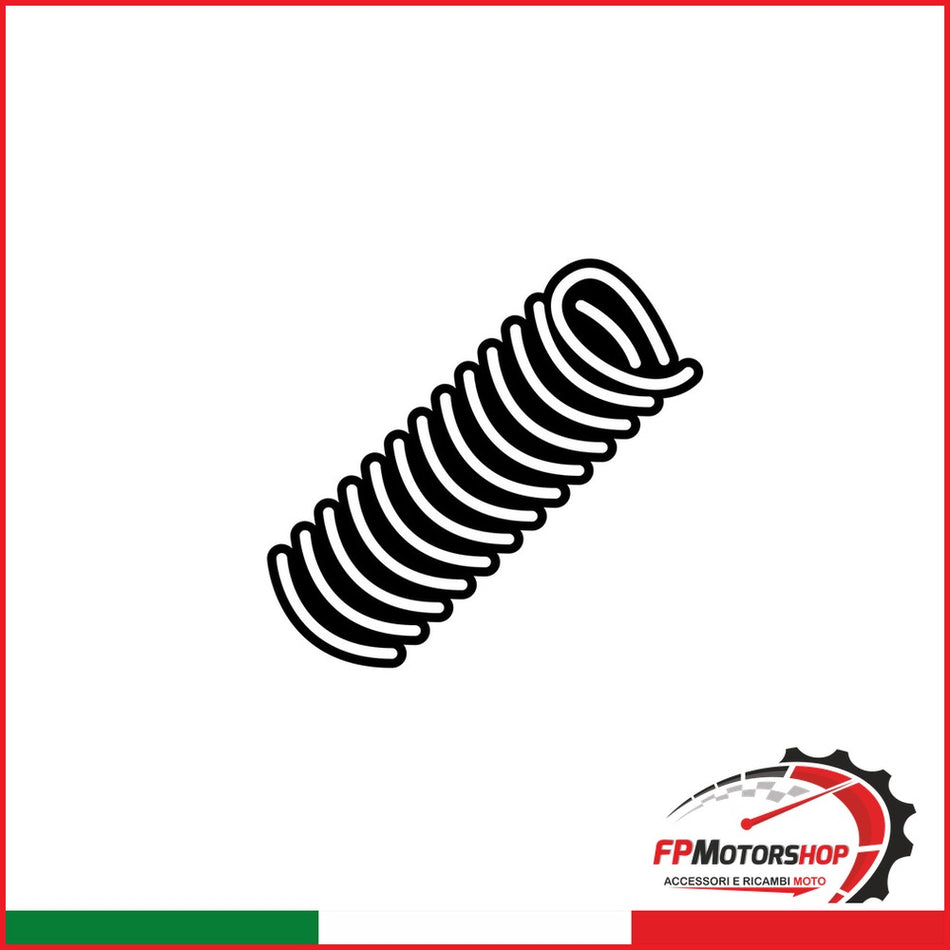 MOLLA MANIGLIA BAULETTO ATV110 SHAD SDR0083 - foto brandizzata