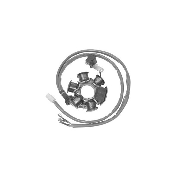 MAGNETE STATORE ALTERNATORE PER SCOOTER GILERA RUNNER PIAGGIO FREE 95>99