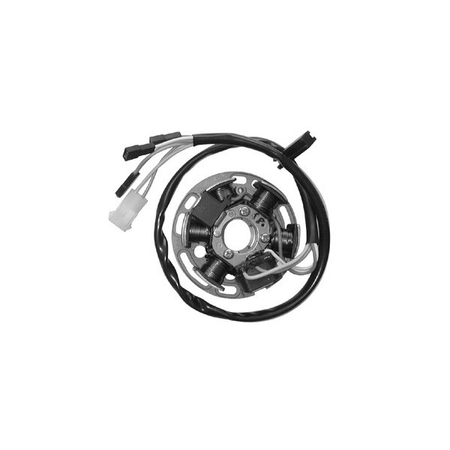 MAGNETE STATORE ALTERNATORE PER DERBI SENDA 50 APRILIA RX 2006-2016 6 POLI
