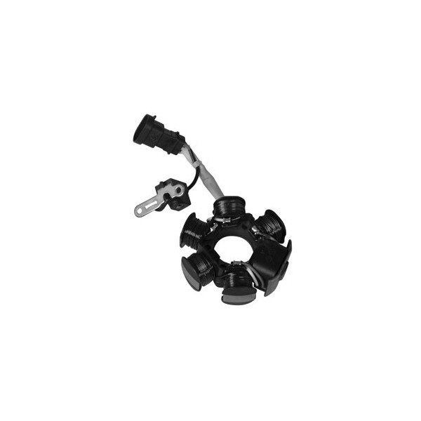 MAGNETE STATORE ALTERNATORE PER SCOOTER PIAGGIO 50 2T 2000/> CATALIZ SGR APRILIA