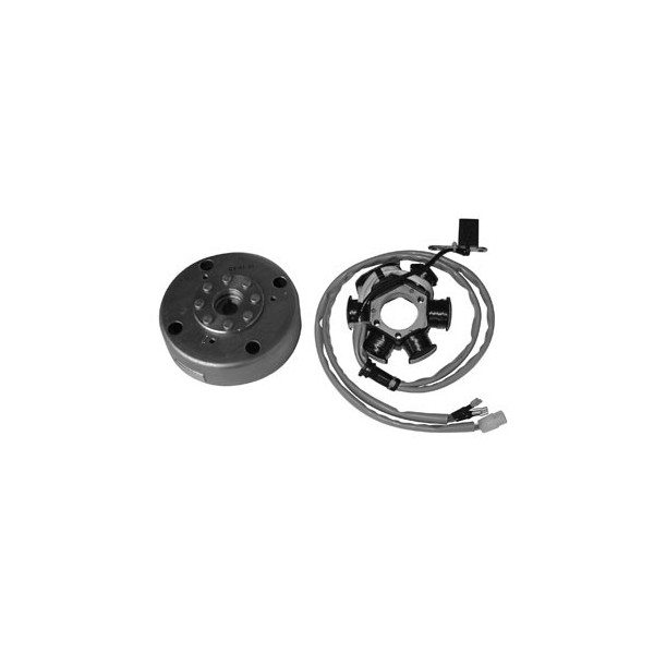 VOLANO MAGNETE 6 POLI PER SCOOTER PIAGGIO FREE 50 2T GILERA EASY MOVING