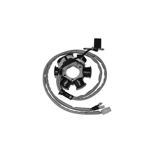 MAGNETE STATORE ALTERNATORE PER SCOOTER PIAGGIO FREE 50 2T GILERA RUNNER