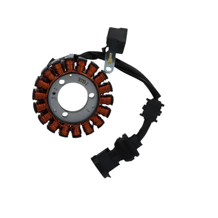 MAGNETE STATORE ALTERNATORE PER PIAGGIO 250 CARB BEVERLY/X9 SGR ADIVA AD E2
