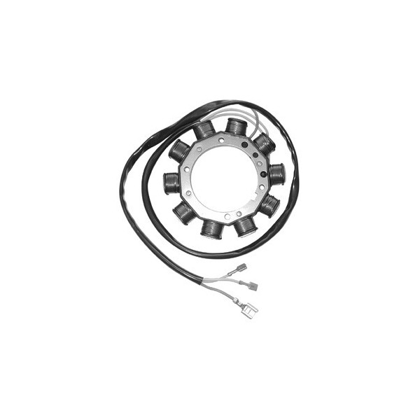 MAGNETE STATORE ALTERNATORE PER APECAR DIESEL SGR PIAGGIO APE CAR 10 POLI