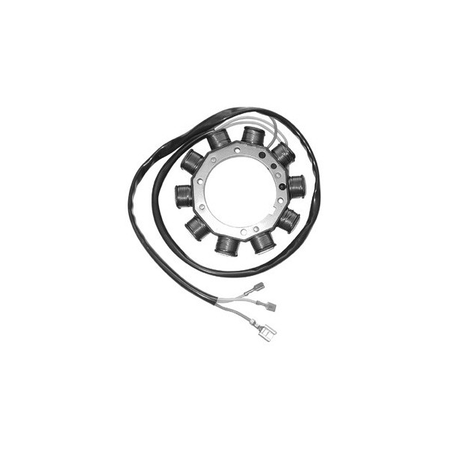 MAGNETE STATORE ALTERNATORE PER APECAR DIESEL SGR PIAGGIO APE CAR 10 POLI