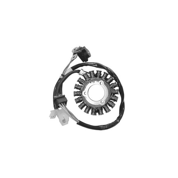 MAGNETE STATORE ALTERNATORE PER SCOOTER KYMCO GRAN DINK 250 PEOPLE DAELIM S2 SQ