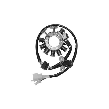 MAGNETE STATORE ALTERNATORE PER KYMCO DINK 200 CLASSIC SGR 4T DD E3 125 06-13