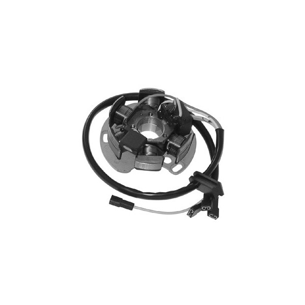 MAGNETE STATORE ALTERNATORE PER APRILIA RS 50 06 DERBI SGR 2006-2013 6 POLI