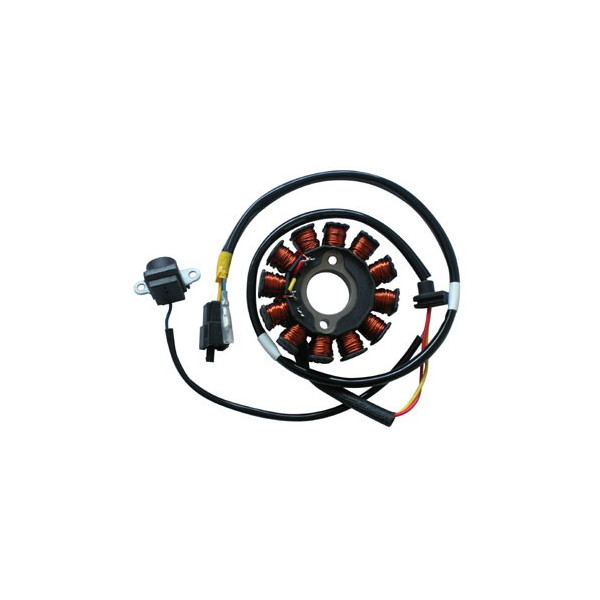 MAGNETE STATORE ALTERNATORE PER SCOOTER KYMCO PEOPLE S 125/200 E3 125 12 POLI