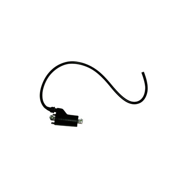 BOBINA ACCENSIONE AT ESTERNA PER MOTO 12V DUCATI 600/750/900 MONSTER/SS CAGIVA