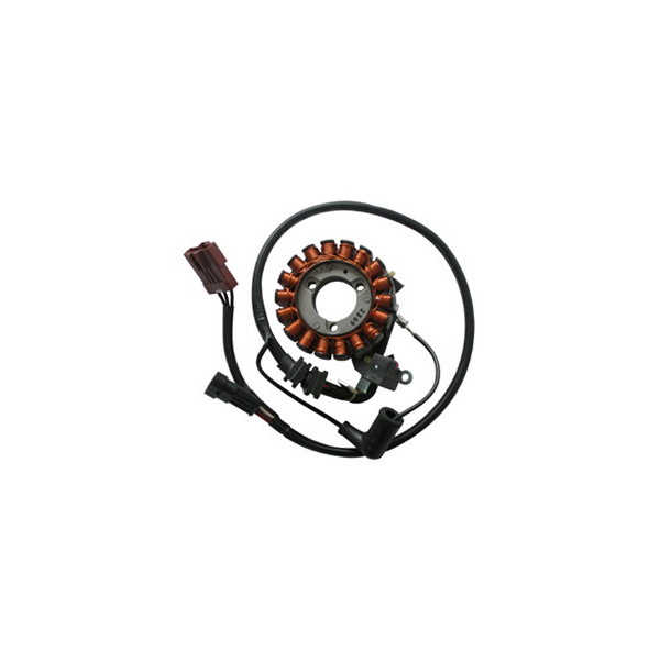 MAGNETE STATORE ALTERNATORE PER SCOOTER PIAGGIO 300 BEVERLY CARNABY ADIVA 250