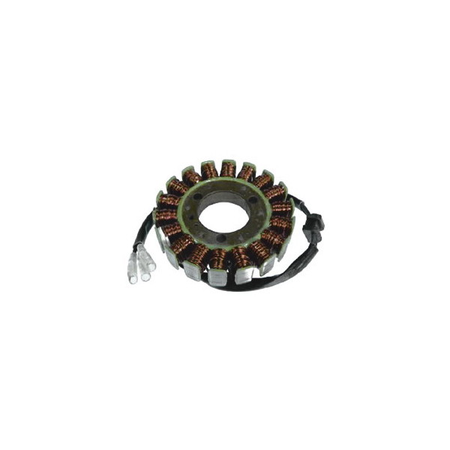 MAGNETE STATORE ALTERNATORE PER MOTO KAWASAKI Z/GPZ 550 SGR GPZ D / H 18 POLI