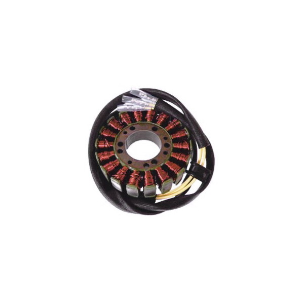 MAGNETE STATORE ALTERNATORE PER MOTO SUZUKI GS 500/750 SGR 82-83 KAWASAKI CSR