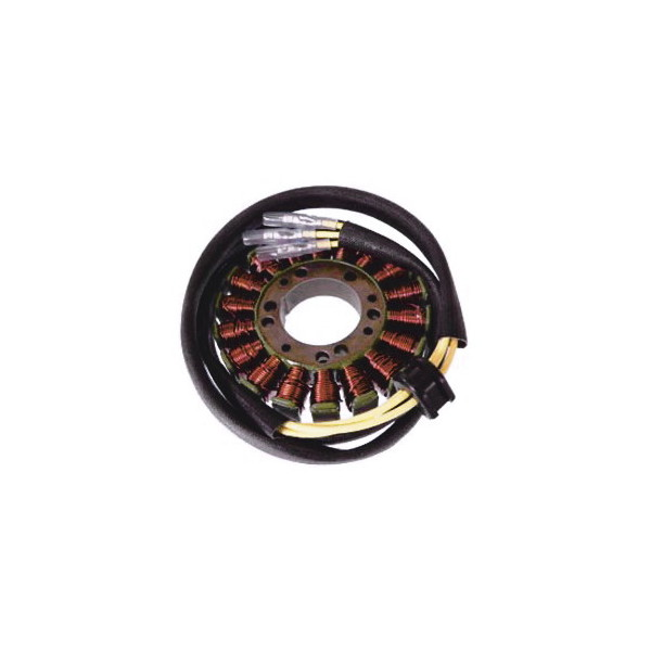 MAGNETE STATORE ALTERNATORE PER MOTO SUZUKI GS 250/450/550 L/E SGR 1979-1979