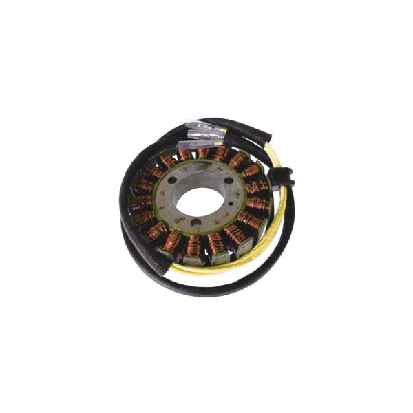 MAGNETE STATORE ALTERNATORE PER MOTO SUZUKI GSX-E550/750 SGR 84-85 GS L 550