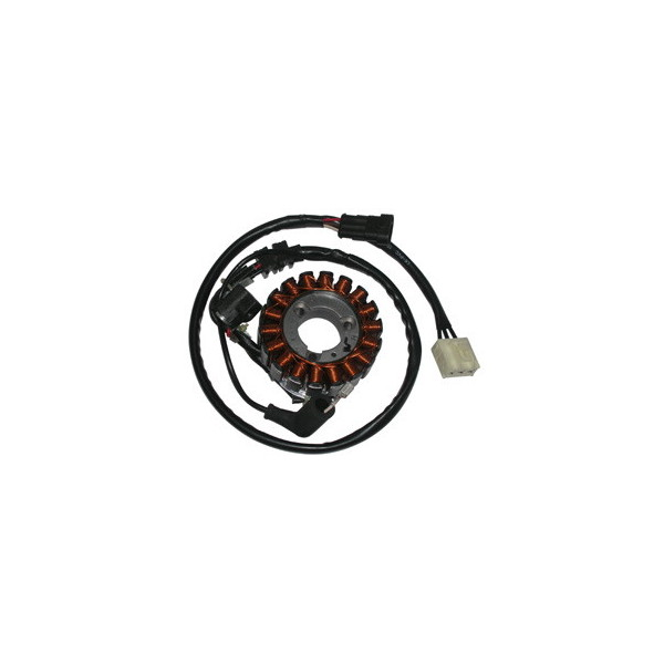 MAGNETE STATORE ALTERNATORE PER PIAGGIO 300 X7 EVO/GTV MP3 APRILIA ATLANTIC