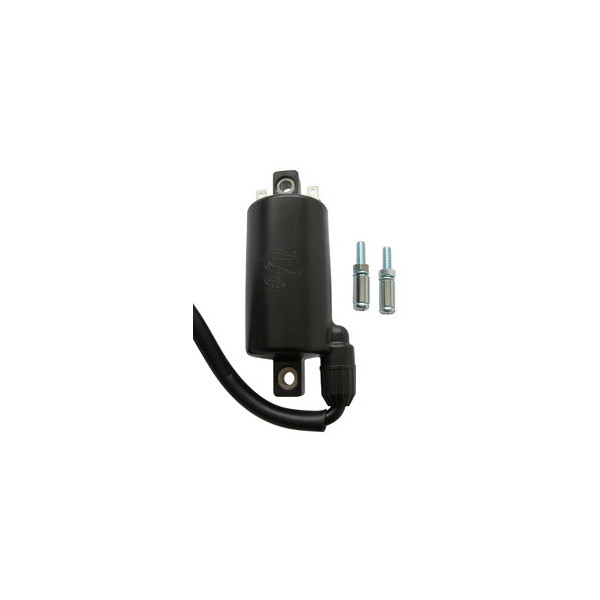 BOBINA ACCENSIONE AT ESTERNA PER MOTO 12V KAWASAKI EN454/EN450 GPZ R 250